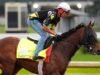 Silent Tactic អវត្តមានក្នុងការប្រកួត Kentucky Derby ដោយសាររបួសជើង
