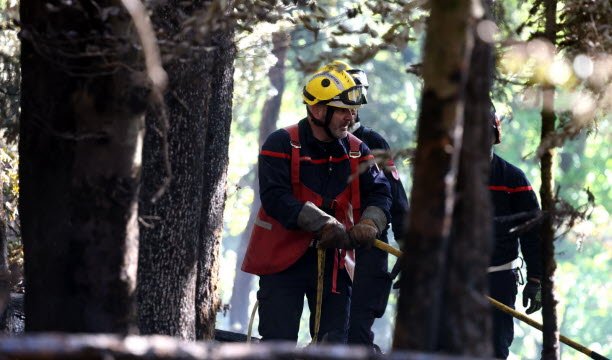 ការ​ប្រយុទ្ធ​នឹង​ភ្លើង​ឆេះ​ព្រៃ​គឺ​ជា​ការងារ​បច្ចេកទេស​ដ៏​ស្វិតស្វាញ​ដែល​បុរស 1,000 នាក់​ត្រូវ​បាន​បណ្តុះបណ្តាល​នៅ Bas-Rhin និង 600 នាក់​នៅ Haut-Rhin ។ រូបថតរបស់ Vincent Voegtlin