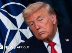 តើ NATO អាចជាកម្លាំងគួរឲ្យទុកចិត្តបានទេ បើគ្មានសហរដ្ឋអាមេរិក?