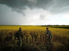 គ្រាប់ធញ្ញជាតិដែលរុស្សីលួច៖ ភាពតានតឹងរវាងអ៊ុយក្រែន និងអ៊ីស្រាអែលកំពុងឡើងកំដៅ EU ត្រៀមខ្លួនដាក់ទណ្ឌកម្មលើអ៊ីស្រាអែល