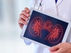 អ្នកស្រាវជ្រាវកំណត់អត្តសញ្ញាណប្រូតេអ៊ីនសំខាន់មួយ។