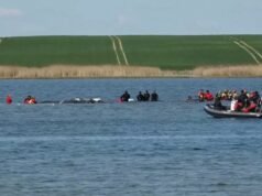 អាល្លឺម៉ង់។ ឱកាសចុងក្រោយក្នុងការជួយសង្គ្រោះ Timmy ដែលជាត្រីបាឡែនដែលជាប់គាំង