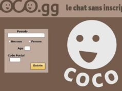 ប៉ារីស។ ការស៊ើបអង្កេតមួយត្រូវបានចាប់ផ្តើមបន្ទាប់ពីការលេចចេញជាថ្មីនៃគេហទំព័រ Coco ដែលត្រូវបានលើកឡើងនៅក្នុងសំណុំរឿងឧក្រិដ្ឋកម្មផ្លូវភេទ