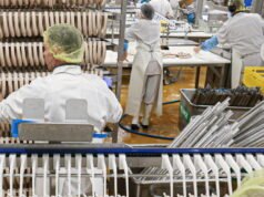 Maurer Tempé delicatessen កំពុងស្វែងរកអ្នកទិញ