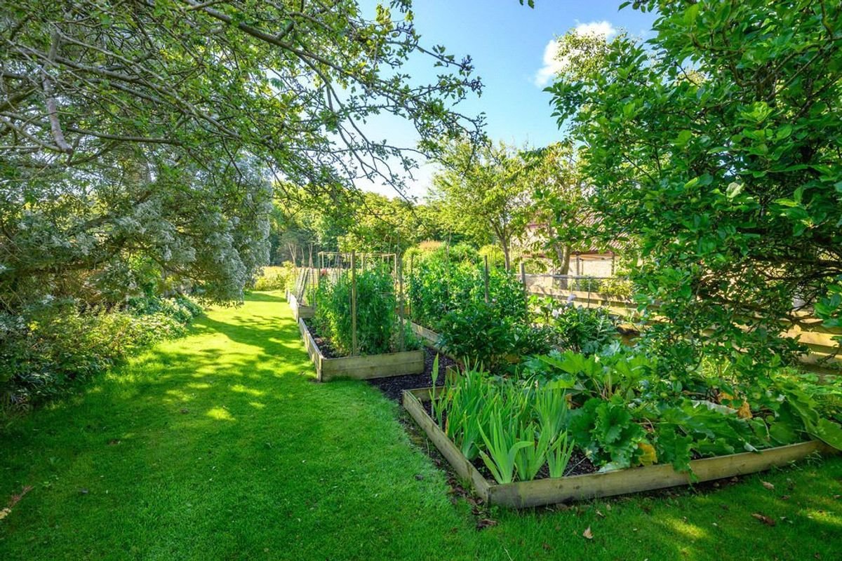 Broom Farm Garden