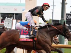 អ្នកឈ្នះពានរង្វាន់ Kentucky Derby Golden Tempo មិនដំណើរការនៅក្នុង Preakness ទេ។