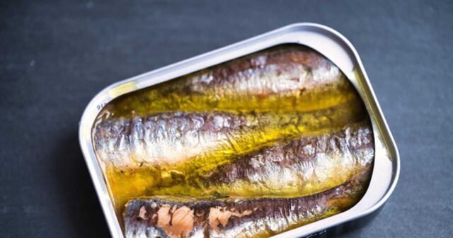 1778988780_la-marque-de-sardines-en-boite-connetable-se-frotte-les-mains-ses-ventes-enregistrent-des-records.jp_.jpeg