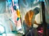 ការផ្ទុះឡើងនៃមេរោគ Ebola ថ្មីនៅក្នុងប្រទេសកុងហ្គោបានសម្លាប់មនុស្ស 65 នាក់ ខណៈដែលក្រុមមន្ត្រីស៊ើបអង្កេតការឆ្លងវីរុស