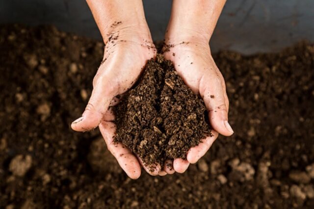 1779324192_dirt-in-hands.jpeg