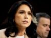 Tulsi Gabbard កំពុងចុះចេញពីតំណែងជានាយកសេវាសម្ងាត់របស់សហរដ្ឋអាមេរិកសម្រាប់ “ហេតុផលផ្ទាល់ខ្លួន” ។