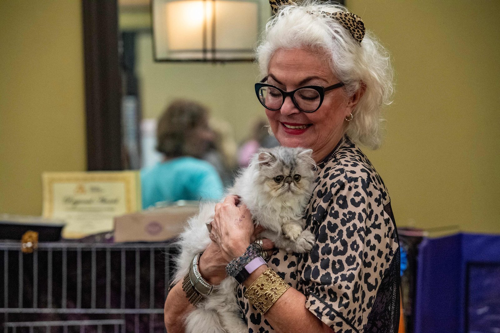 Sandra Marsinelli កាន់ឆ្មារបស់នាង Shiny Silver Nickel ក្នុងអំឡុងពេលកម្មវិធី New England Meow Outfit's Annual Allbreed and Household Pet Cat Show លើកទី 10 នៅខែសីហា ឆ្នាំ 2023 នៅ Natick រដ្ឋ Massachusetts ។ ម្ចាស់សត្វចិញ្ចឹមគួរតែពិនិត្យឆ្មារបស់ពួកគេឱ្យបានទៀងទាត់សម្រាប់ឆ្ក និងរក្សាឆ្មារបស់ពួកគេនៅក្នុងតំបន់ដែលឆ្លងមេរោគនៅក្នុងផ្ទះ។