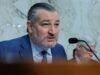 Ted Cruz Rips MAGA Influencer ដែលការពារកិច្ចព្រមព្រៀងអ៊ីរ៉ង់របស់ Trump: ‘Hush, Kid!’