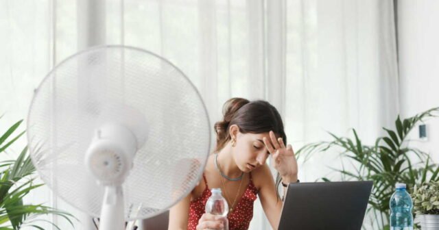 1779759538_canicule-quelles-sont-les-regles-du-teletravail-pendant-les-periodes-de-forte-chaleur.jpg