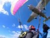 Paraglider គេចផុតពីសេចក្តីស្លាប់យ៉ាងចង្អៀត បន្ទាប់ពីបានបុកគ្នានៅកណ្តាលអាកាស ជាមួយនឹងយន្តហោះនៅលើភ្នំ Alps នៃប្រទេសអូទ្រីស