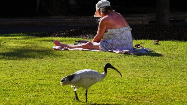 1779793852_0_Heatwave-grips-Balmoral-Beach-in-Sydney.jpg