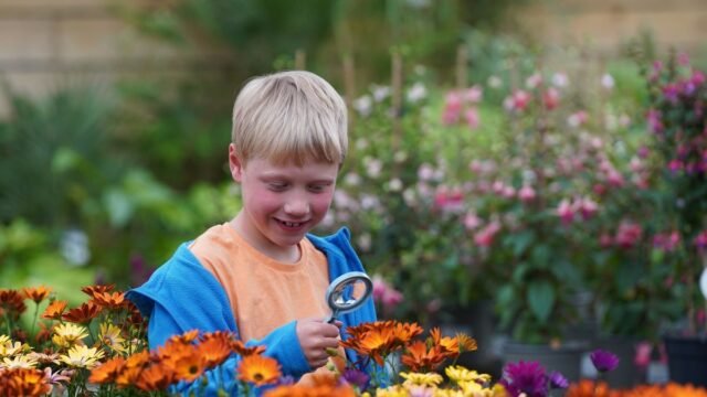 1779886917_0_RTR_WSH270526Dobbies_01.jpg