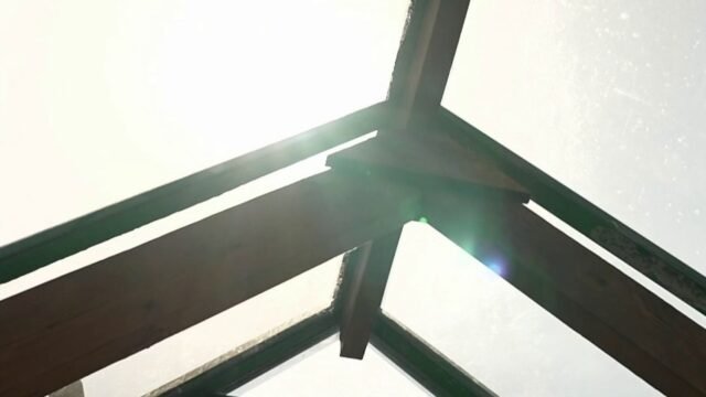 1780003920_6a188b3a151be974205265.jpg
