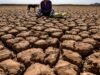 “កំពូល” ដ៏កម្រ El Niño គឺទំនងជាង។ នេះជាអ្វីដែលត្រូវរំពឹង