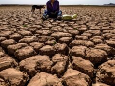 “កំពូល” ដ៏កម្រ El Niño គឺទំនងជាង។ នេះជាអ្វីដែលត្រូវរំពឹង