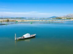 បើក Air White Gold – L’Express
