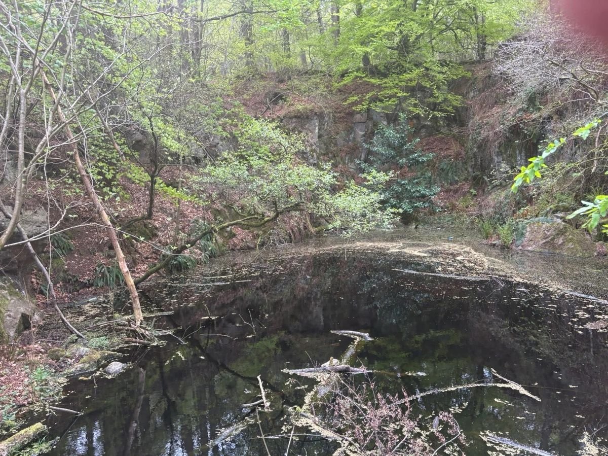 រូបភាពនៃបឹងយកថ្មនៅ Tollohill Wood, Aberdeen 