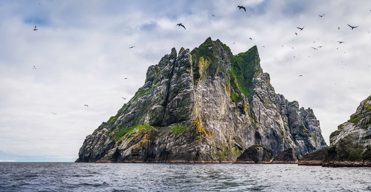 ពពកនៃបក្សីសមុទ្រ gannets fulmars និង skuas ហោះហើរជុំវិញច្រាំងថ្មចោទនៃ Boreray ដែលជាកោះដ៏ចោតនៅប្រជុំកោះ St Kilda ភាគខាងជើងនៃមហាសមុទ្រអាត្លង់ទិក ដែលជាកោះដាច់ស្រយាលនៅភាគខាងលិចនៃ Outer Hebrides ប្រទេសស្កុតឡែន។