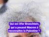តើលោក Ofer Bronchtein ជានរណាដែលបានជំរុញឲ្យលោក Macron ទទួលស្គាល់ប៉ាឡេស្ទីន?