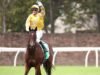 សេះ Royal Ascot ត្រូវសត្វ stingrays វាយហើយបញ្ជូនទៅមន្ទីរពេទ្យក្រោយគ្រោះថ្នាក់ដ៏រន្ធត់ | ប្រណាំង | កីឡា