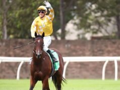 សេះ Royal Ascot ត្រូវសត្វ stingrays វាយហើយបញ្ជូនទៅមន្ទីរពេទ្យក្រោយគ្រោះថ្នាក់ដ៏រន្ធត់ | ប្រណាំង | កីឡា