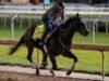 Robusta ស្ថិតនៅក្នុងទីលាន Kentucky Derby ជាមួយនឹងសិទ្ធិទៅជប់លៀង