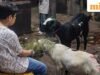 បុណ្យ Eid al-Adha 2026៖ សាលារៀន ធនាគារ ការិយាល័យ ផ្សារហ៊ុន – តើអ្វីបើក អ្វីត្រូវបិទ?
