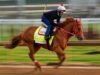 Kentucky Derby នៅសល់តែសេះចំនួន 19 ក្បាលប៉ុណ្ណោះ បន្ទាប់ពីគោក្របីត្រូវបានកោស