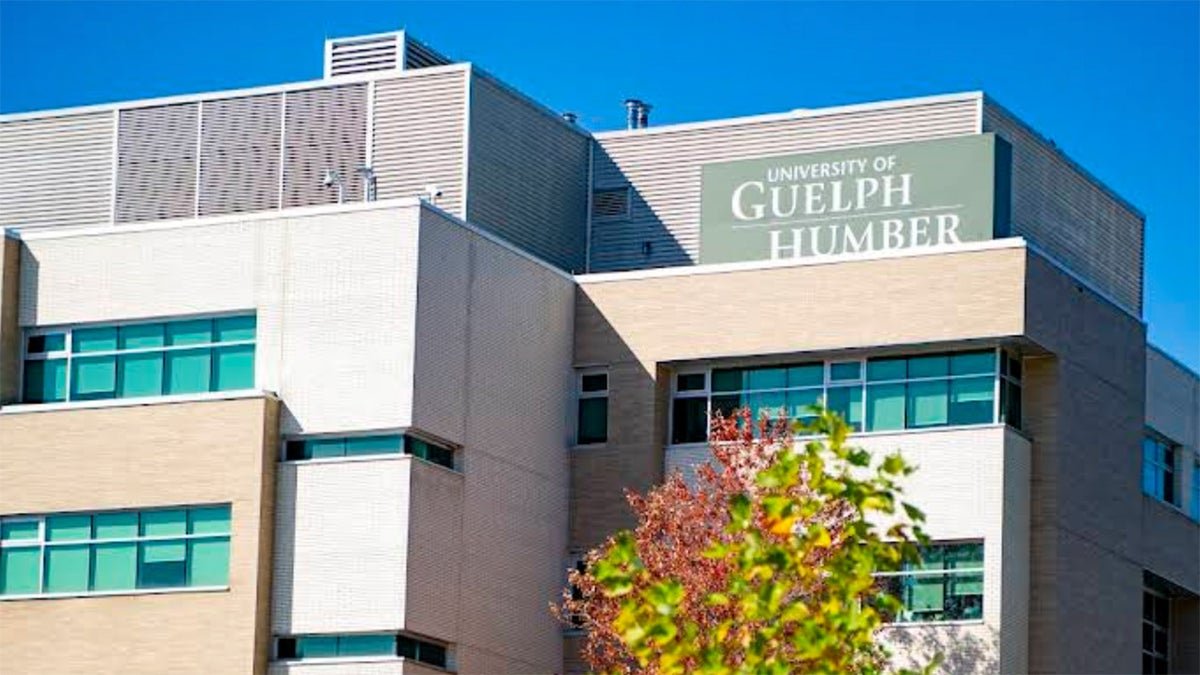 សាកលវិទ្យាល័យ Guelph Humber ប្រទេសកាណាដា