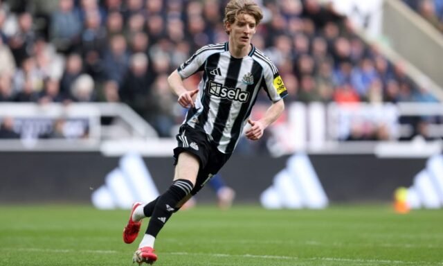 newcastle-united-v-everton-premier-league-1000x600.jpg