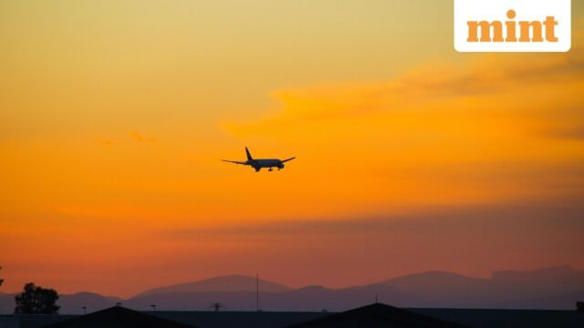 pexels-photo-20875781_1779729909782_1779729931186_7f47fa73-e349-4d53-b052-d1865b851079.jpeg