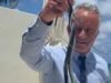 សហរដ្ឋអាមេរិក។ Robert Kennedy Jr. ចាប់ពស់ពីរក្បាលដោយដៃទទេ…