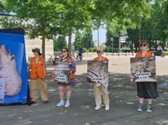ទីក្រុង Strasbourg ។ សកម្មភាពជានិមិត្តរូបដោយ L214 ដើម្បីទាក់ទាញការយកចិត្តទុកដាក់ចំពោះការឈឺចាប់របស់ជ្រូកដែលចិញ្ចឹមដោយឧស្សាហកម្ម