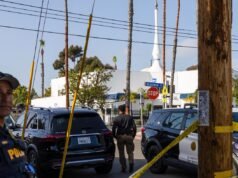 វិហារ San Diego; លេខកូដតំបន់; ករណី Trump IRS; Elon: NPR