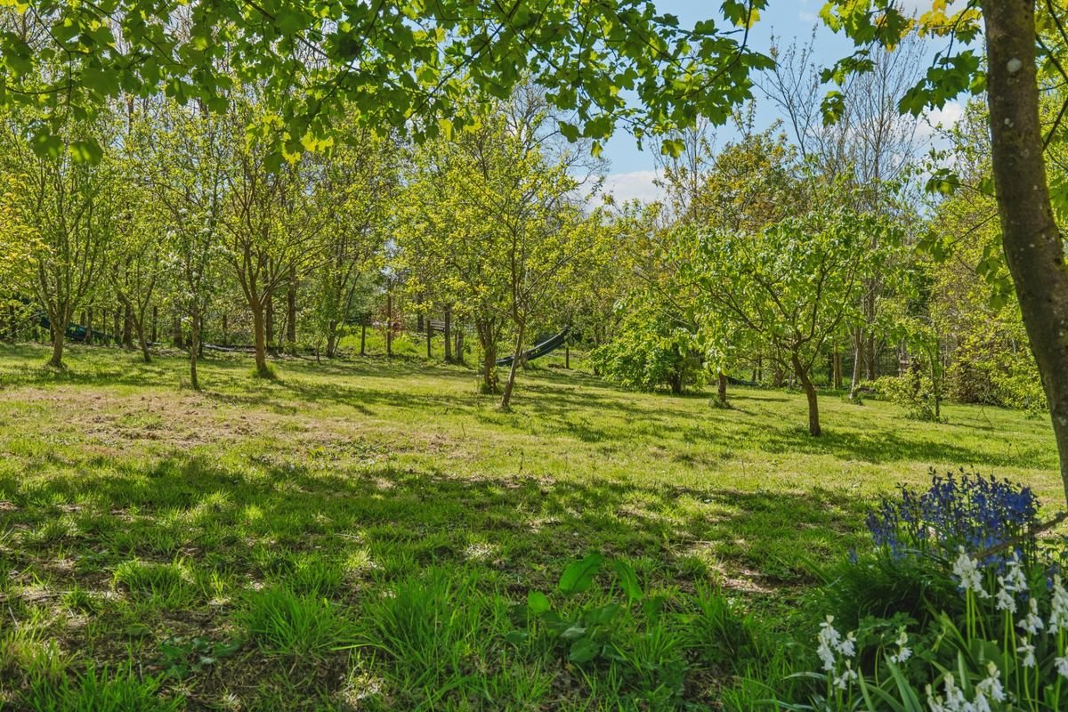 Hartwood House Garden