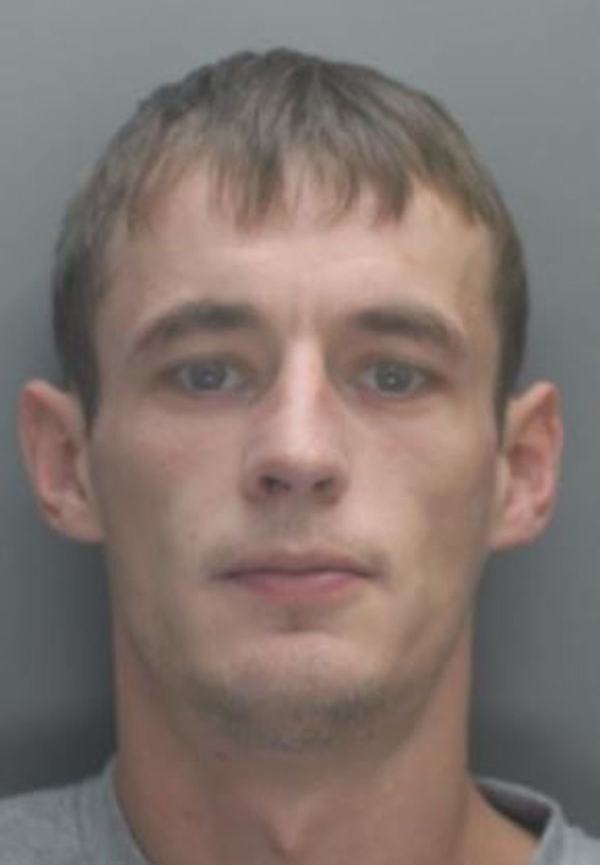 Dylan Westall