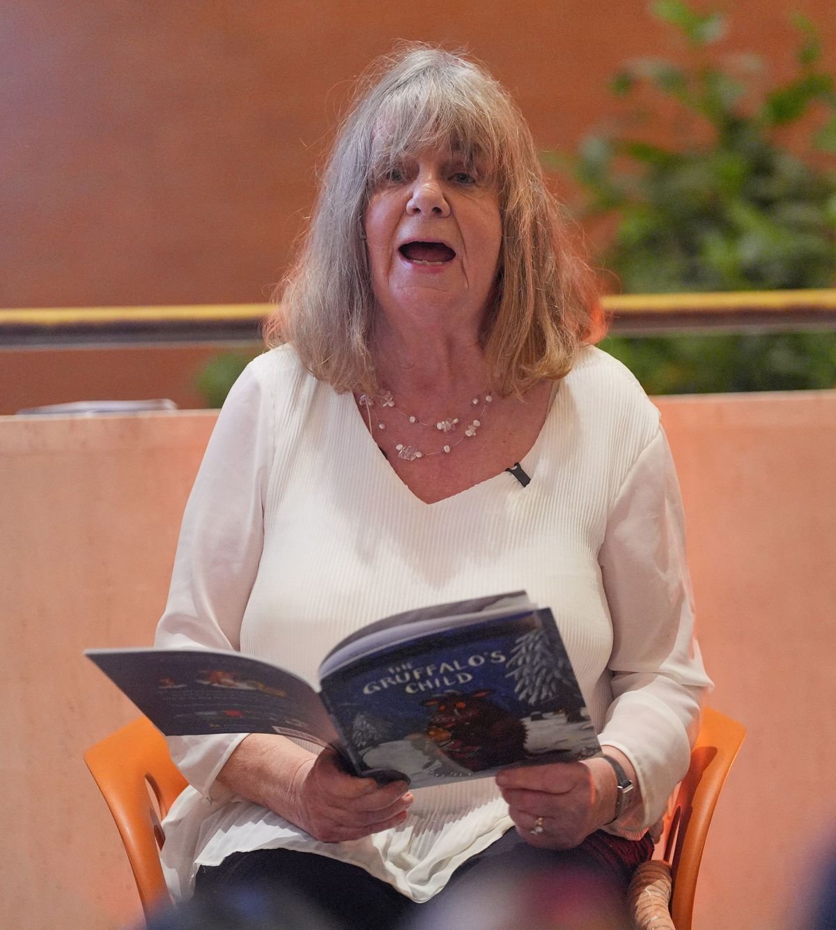 អ្នកនិពន្ធ Julia Donaldson