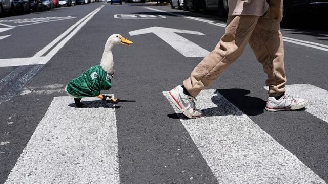 1200x675_cmsv2_48a6f6e3-5c01-51a6-b215-39206e3b207d-9799598.jpg