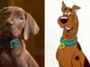 Zoinks! អ្នកគាំទ្រខឹងសម្បារយ៉ាងខ្លាំងចំពោះតារាជើងបួននៃការចាប់ផ្តើមសកម្មភាពឡើងវិញរបស់ Netflix របស់ Scooby-Doo