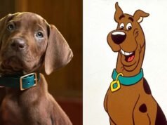 Zoinks! អ្នកគាំទ្រខឹងសម្បារយ៉ាងខ្លាំងចំពោះតារាជើងបួននៃការចាប់ផ្តើមសកម្មភាពឡើងវិញរបស់ Netflix របស់ Scooby-Doo