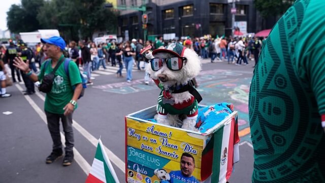 1200x675_cmsv2_e0e77e15-26d9-5781-8047-a7430b2457d6-9806977.jpg