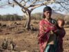 យោងតាម WMO – Global Issues បានបញ្ជាក់ថា El Niño នឹងនាំឱ្យមានអាកាសធាតុកាន់តែអាក្រក់