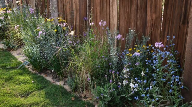 1780523765_4_Weeds.jpg