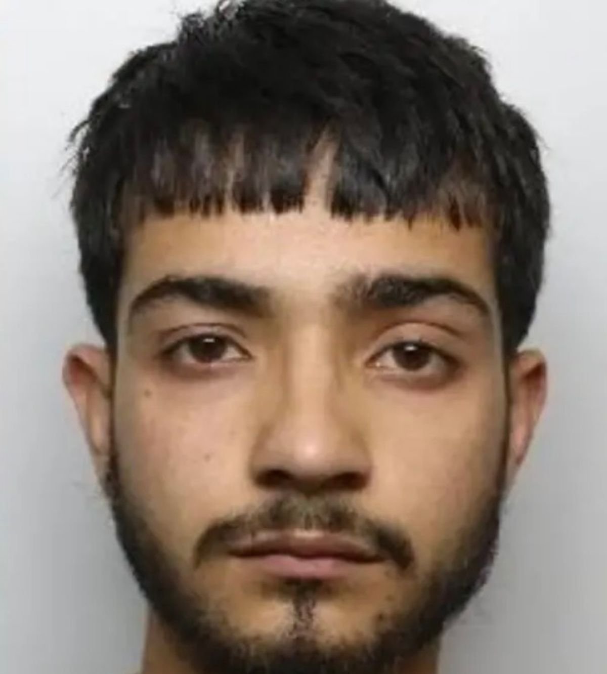 Zulkernain Ahmed