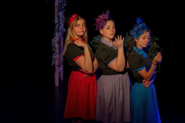 1780835216_2454374-la-dame-de-chez-maxim-est-jouee-au-theatre-du-luce.jpg