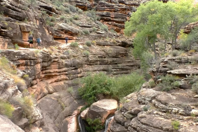 1780936552_grand-canyon.png